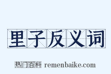 里子反义词是什么意思的图片